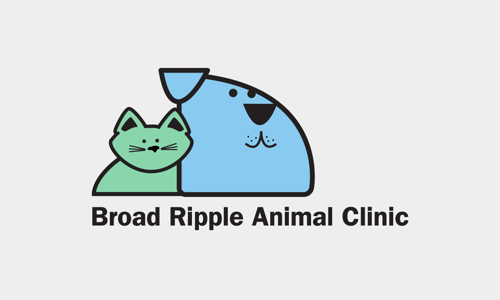 Broad Ripple Animal Clinic Business Card Mockup